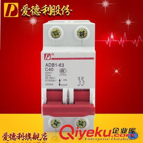 DZ47斷路器 愛德利供應DZ47-63/2P優質小型斷路器 C40A高分斷小型斷路器