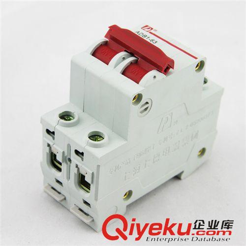 DZ47斷路器 愛德利供應DZ47-63/2P優質小型斷路器 C40A高分斷小型斷路器原始圖片2