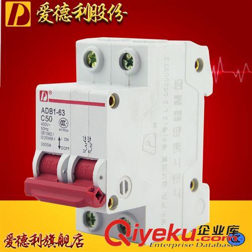 DZ47斷路器 愛德利供應(yīng)DZ47-63/2P優(yōu)質(zhì)小型斷路器 C50A高分?jǐn)嘈⌒蛿嗦菲?/>
            
            </a>
        </div>
    </div>
        <div   id=