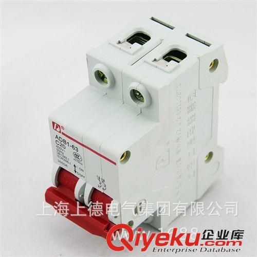 DZ47斷路器 愛德利供應(yīng)DZ47-63/2P-C20A優(yōu)質(zhì)小型塑殼斷路器/空氣開關(guān)原始圖片3