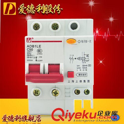 DZ47斷路器 供應(yīng)DZ47LE-63/4P C63A優(yōu)質(zhì)小型漏電斷路器 漏電保護(hù)器愛德利