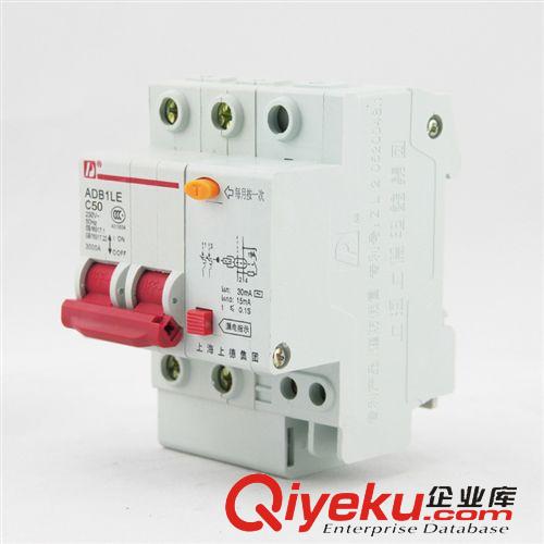 DZ47斷路器 供應(yīng)DZ47LE-63/2P C50A優(yōu)質(zhì)小型漏電斷路器 漏電保護(hù)器愛德利原始圖片2