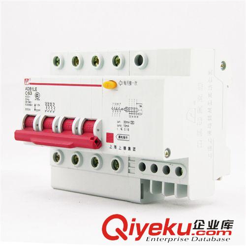 DZ47斷路器 供應(yīng)DZ47LE-63/4P C63A優(yōu)質(zhì)小型漏電斷路器 漏電保護器愛德利