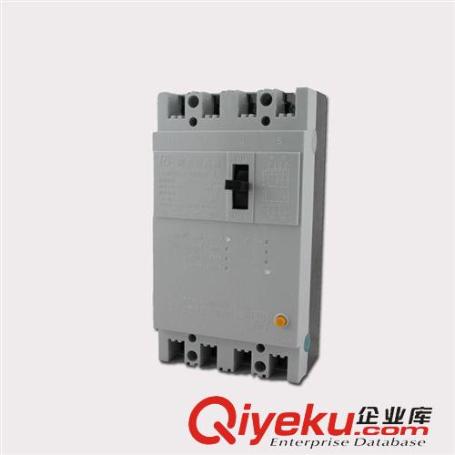 DZ15塑殼斷路器 供應(yīng)DZ15LE-100/490漏電斷路器/保護(hù)器質(zhì)量保證品牌直銷愛德利原始圖片2