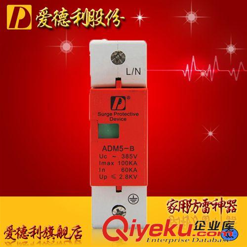 浪涌防雷器 供應電源防雷器/浪涌保護器/電源SPD模塊 1P-100KA 品牌tj直銷
