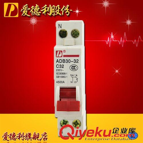 漏電斷路器 批發DZL18-2P/32家用過載保護器 家用漏電斷路器 短路保護開關