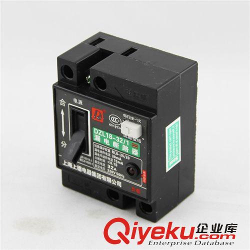漏電斷路器 批發DZL18-2P/32家用過載保護器 家用漏電斷路器 短路保護開關原始圖片3