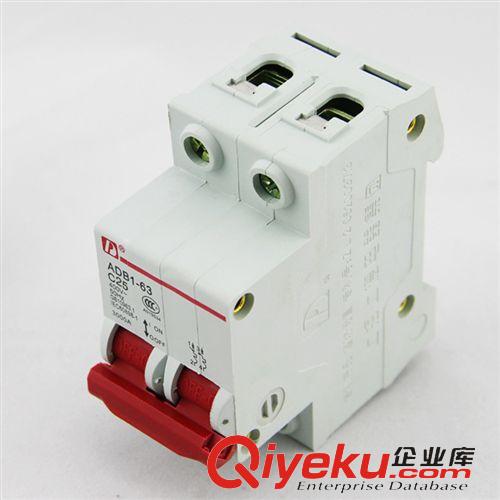 漏電斷路器 斷路器廠家 DZ47-63/2P 25A 小型斷路器 家用 照明用小型斷路器原始圖片3