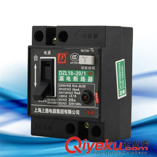 漏電斷路器 廠家批發(fā)DZL18-20A家用漏電斷路器/電路短路過載保護(hù)器 帶燈 安全原始圖片2
