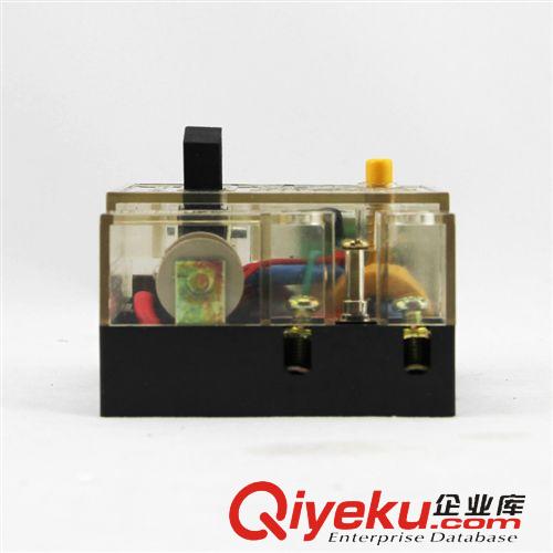 漏電斷路器 供應(yīng)DZL18-32A家用型漏電斷路器/保護(hù)器/透明漏電斷路器愛德利原始圖片3