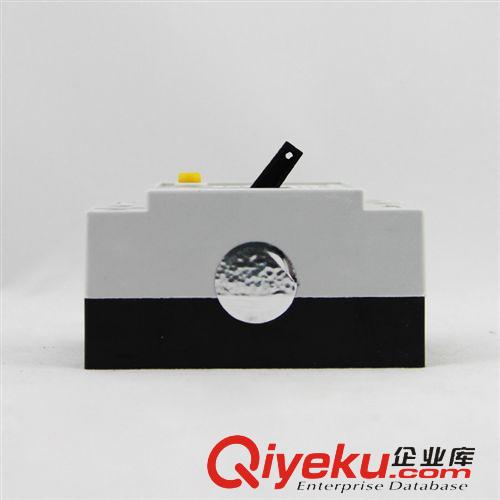 漏電斷路器 供應 DZL18-20A家用型白蓋漏電斷路器/保護器/斷電保護愛德利原始圖片3