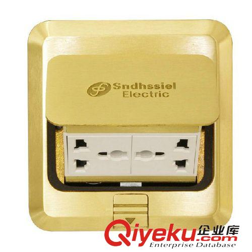 SSD地板插座系列 主營熱銷 黃石SDD-02方形二位多功能地板插座