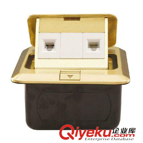 SSD地板插座系列 專業(yè)出售 SDD-04香檳金地板插座 方型二位電腦地板插座