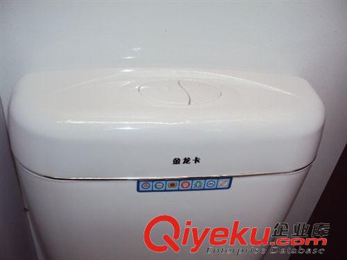 水箱 廠家直銷廁所蹲便器水箱 家用公共壁掛式節(jié)能儲水式高強(qiáng)度水箱原始圖片3