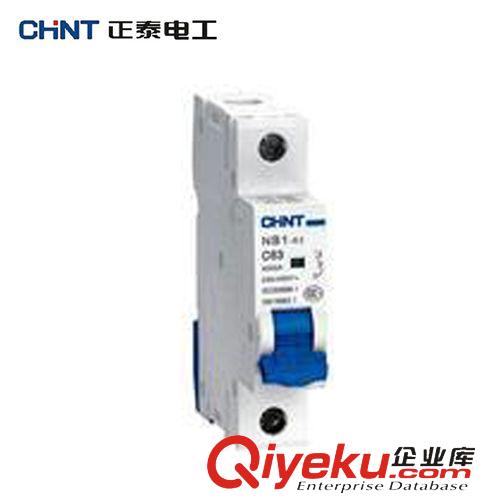 小型斷路器 正泰NB1-63交流小型斷路器 C32