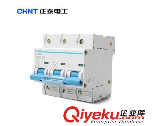 小型斷路器 正泰斷路器 大功率家用 DZ158  正泰空氣開關 空開 正泰漏電開關