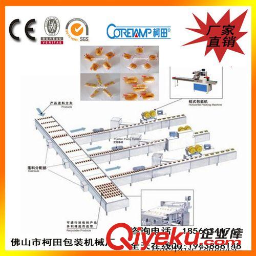 包裝生產(chǎn)線 蛋黃派包裝機(jī)械理料線