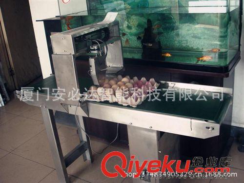 自動包裝機(jī)系列 封箱機(jī)