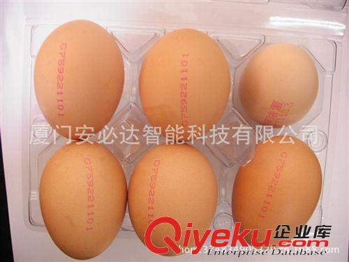 噴碼機(jī)系列 泉州噴碼機(jī)、廈門噴碼機(jī)、漳州噴碼機(jī)。南平噴碼機(jī) 雞蛋打印機(jī)原始圖片2