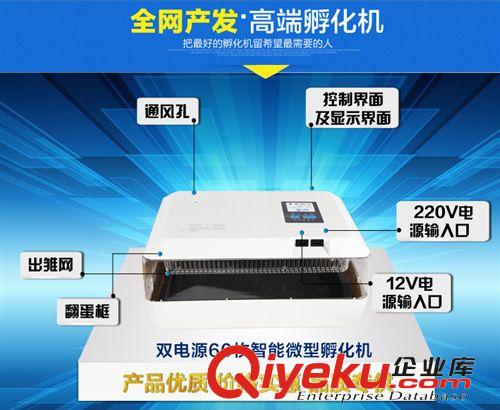 孵化機INCUBATOR 60枚全自動孵化機 雙電源孵化器 真正不怕停電的全自動孵化機器