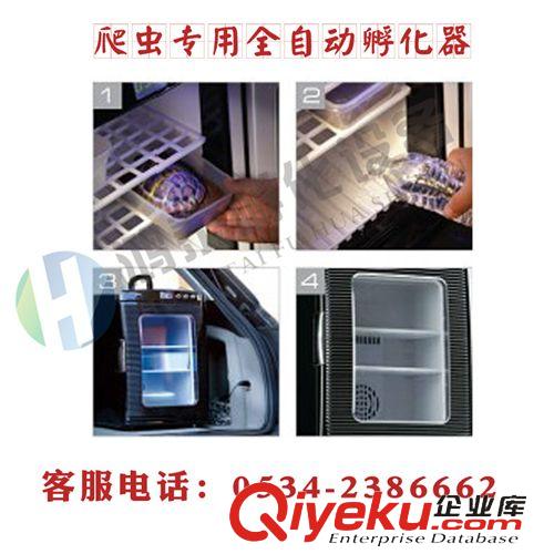 孵化機INCUBATOR 爬蟲孵化機|孵化器|烏龜蜥蜴爬蟲蛇孵化箱，可制冷孵化器