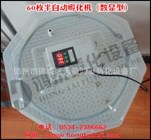 孵化機INCUBATOR 60枚家用孵化機改進型（數字顯示）出口批發