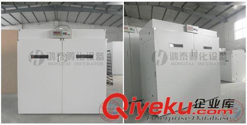 孵化機INCUBATOR 小型全自動孵化機 1500枚孵化器  全自動雙控 批發tj