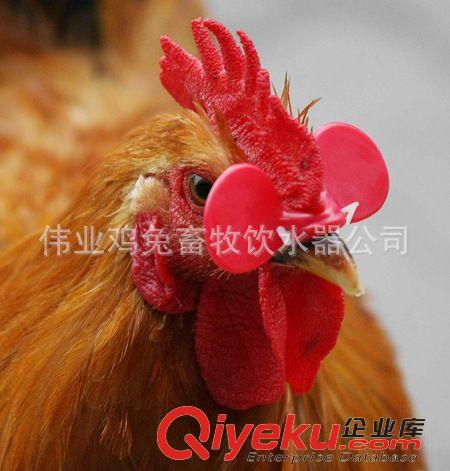 雞用產品 左孔雞眼鏡/ 雞眼罩 /防啄眼鏡/ 雞眼鏡批發/