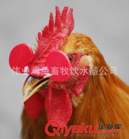 雞眼鏡/鼻簽/腳環 雞眼鏡 /雞眼罩 /防啄眼鏡 /雞眼鏡批發原始圖片3