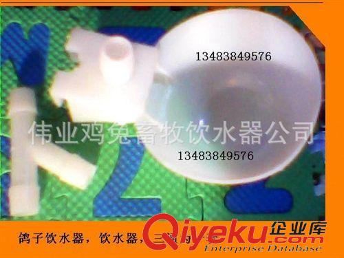 鴿用產(chǎn)品 8MM/10MM養(yǎng)鴿子設(shè)備/鴿子飲水碗/鴿子飲水器/雞鳥用飲水器原始圖片2