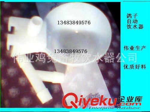 鴿用產(chǎn)品 8MM/10MM養(yǎng)鴿子設(shè)備/鴿子飲水碗/鴿子飲水器/雞鳥用飲水器原始圖片3