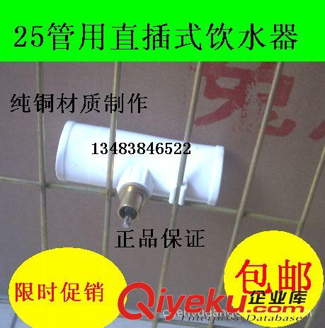 鸚鵡鳥用品 6分三通兔飲水器/實心銅自動飲水器/水咀/25管用水嘴