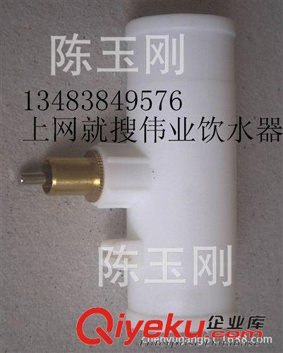 鸚鵡鳥用品 6分三通兔飲水器/實心銅自動飲水器/水咀/25管用水嘴