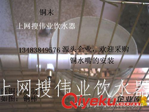 鸚鵡鳥用品 6分三通兔飲水器/實心銅自動飲水器/水咀/25管用水嘴
