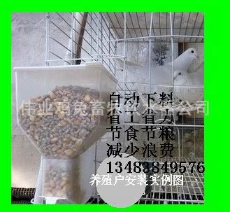 鸚鵡鳥用品 加厚鴿子下料槽 鴿自動料槽 料合鴿子自動食盒自動鴿料槽原始圖片3