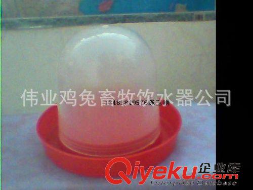 鵪鶉鵓鴣用品 雞用水壺/雞飲水器/雞自動水桶/鴿子水桶/手動水筒/鳥水壺