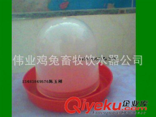 鵪鶉鵓鴣用品 雞用水壺/雞飲水器/雞自動水桶/鴿子水桶/手動水筒/鳥水壺