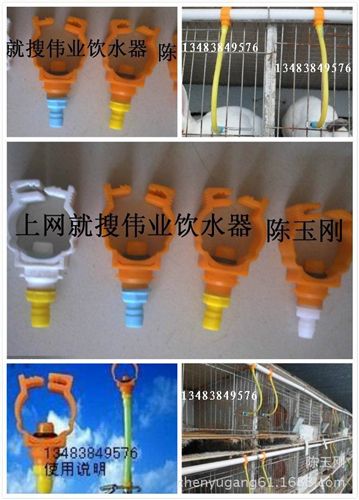 水管/管材接頭 6分卡式接頭/轉變接頭/養殖設備/養兔配件/兔飲水器