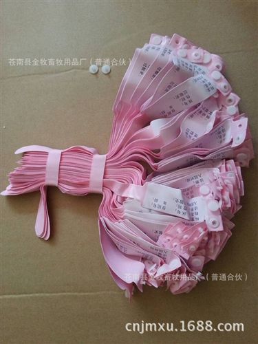 防水腕帶 手腕識別帶 防水腕帶 醫院腕帶 醫院識別帶