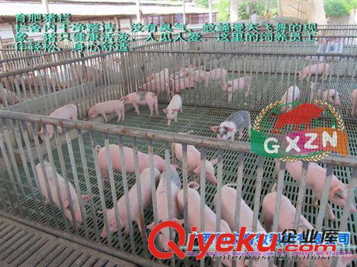 動物添加劑產品 加強型活力發酵床復合菌/比活力99系列發酵床強3倍/xjb高