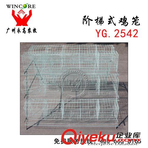 養(yǎng)雞設(shè)備 廠家直銷90型三層階梯式雞籠 養(yǎng)雞設(shè)備 養(yǎng)殖場專用
