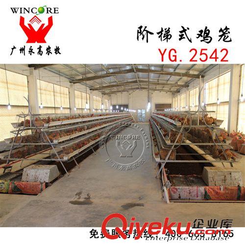 養(yǎng)雞設(shè)備 廠家直銷90型三層階梯式雞籠 養(yǎng)雞設(shè)備 養(yǎng)殖場專用