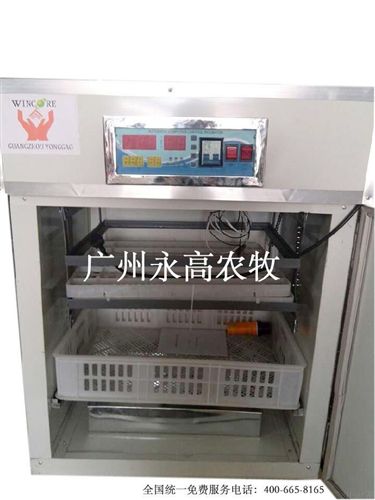 養雞設備 5280枚全自動孵化機控制器 溫控器 鴿子 雞鴨鵝孵化機/器原始圖片3