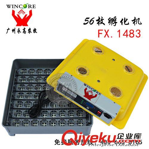 養(yǎng)雞設(shè)備 供應(yīng) 56枚微型孵化機(jī) 全自動(dòng)孵化器 迷你型孵化機(jī) 養(yǎng)雞養(yǎng)殖設(shè)備