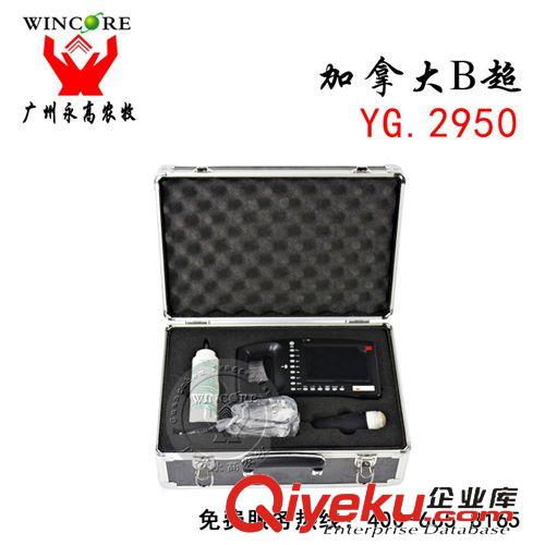 進(jìn)口器械 加拿大進(jìn)口B超儀 豬牛測孕儀便捷式動(dòng)物 獸用b超測孕儀獸用b超機(jī)原始圖片3