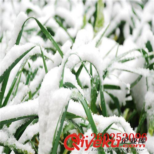 白雪粉 冰雪纷飞场景制作专用片状雪花粉 雪飘粉 仿真冰雪粉 冰霜粉批发