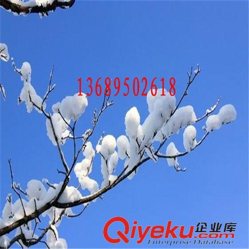 白雪粉 公园假雪景专用gf逼真雪花粉 雪飘粉 冰雪粉 冰霜粉批发