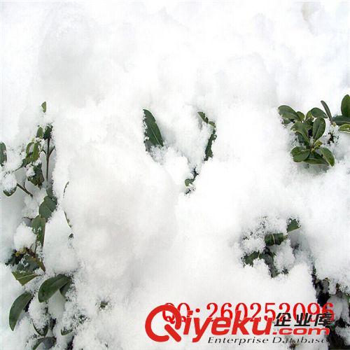 白雪粉 冰雪纷飞场景制作专用片状雪花粉 雪飘粉 仿真冰雪粉 冰霜粉批发