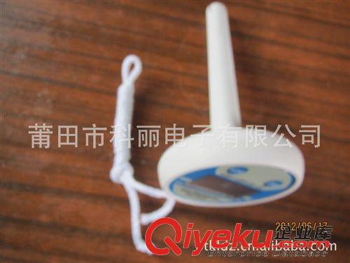 游泳池溫度計 游泳池專用工具 浮水型 數(shù)字顯示 泳池溫度計 可切換華氏/攝氏