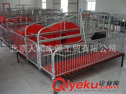 豬欄/豬產(chǎn)床/保育床/限位欄 廠家批發(fā) 高配置母豬分娩產(chǎn)床 歐式產(chǎn)床豬欄設(shè)備 母豬高床產(chǎn)仔欄
